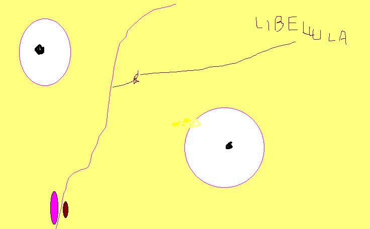 Disegno con Paint su fondo giallo chiaro, con una lunga linea viola, due cerchi bianchi con un punto nero e la scritta libellula